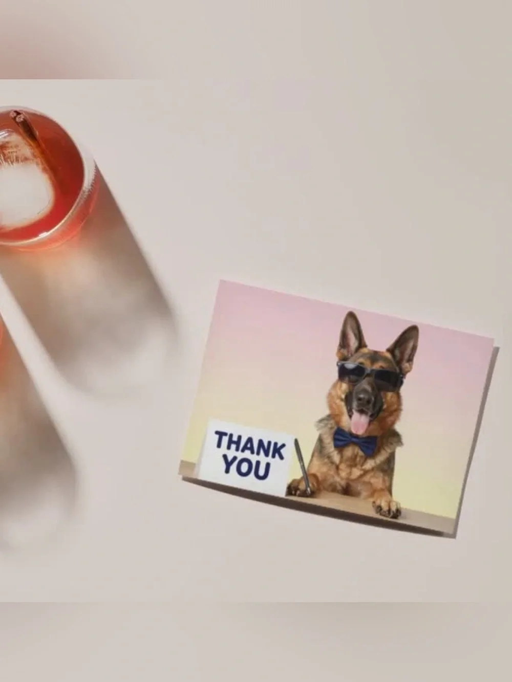 Funny German Shepherd Thank You Cards Set of 15 4x6 Dog Cards with Envelopes